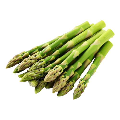 Спаржа 